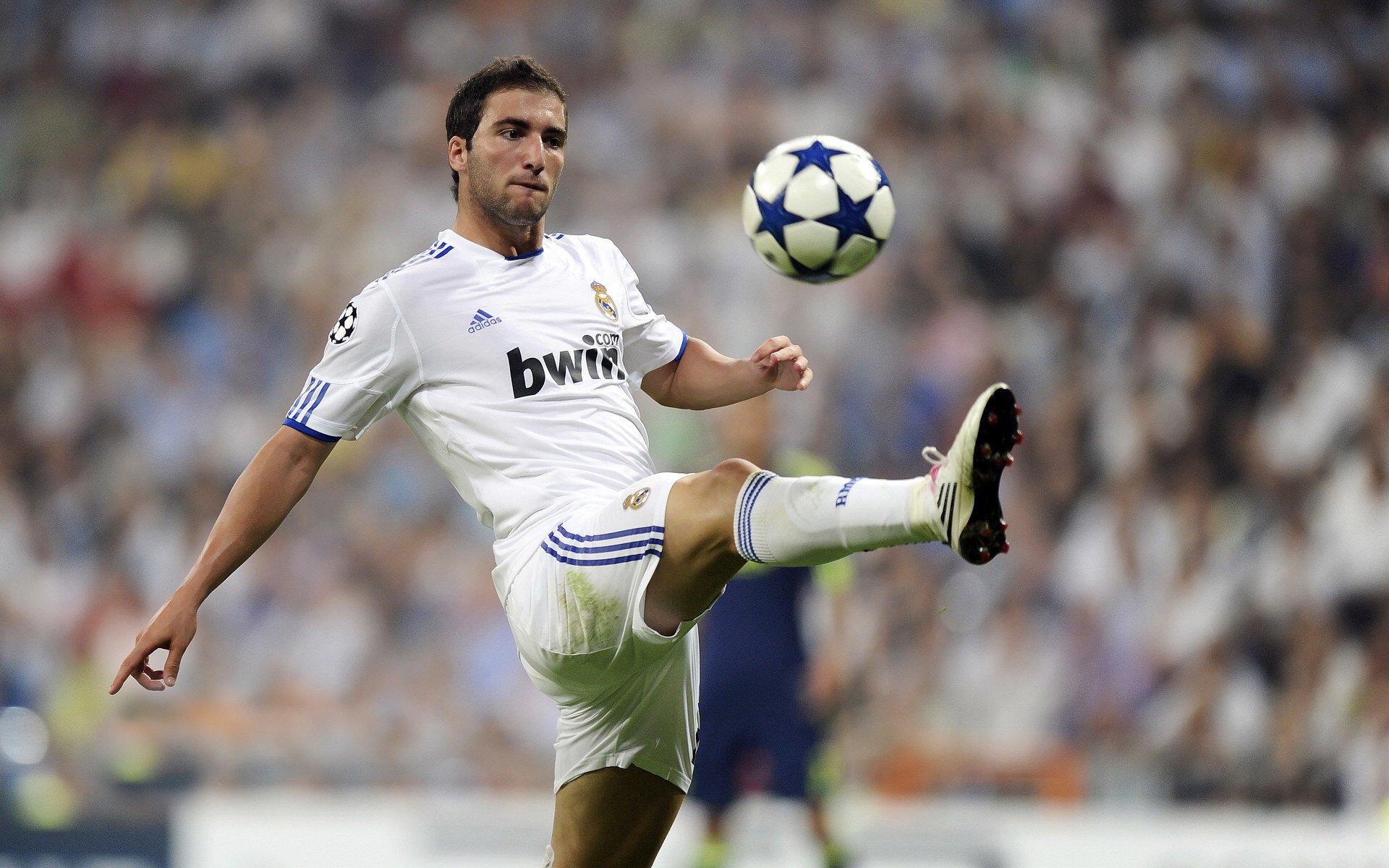 车手的成长故事：从业余到职业的蜕变，车手的意义